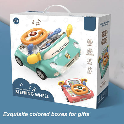 Car Steering Wheel Toy, Baby Interactive Toy, Driving Educational Toy with Light and Sound, Birthday Gifts for Kids, Science Toys Sensory Play